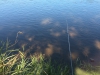 20150830_101832180_iOS