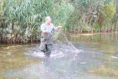 Netzabfischung 2009