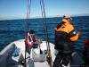 norge2011-00248