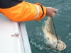 norge2011-00289